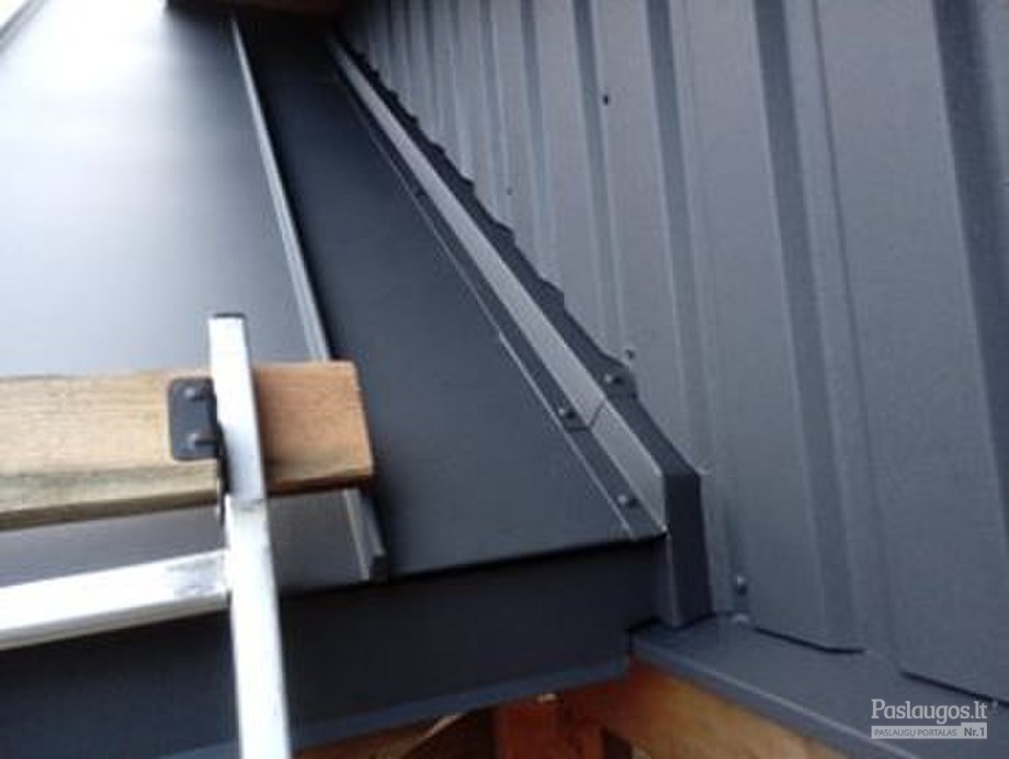 stogdengys-skardininkas-vaidas-vilniaus-rajone-vs340-galerija (9)